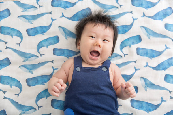 Swaddle Muslin Blanket - ALLOVER WHALES