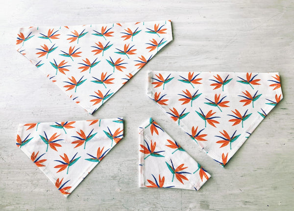 Hunde-Bandanas - Bird of Paradise