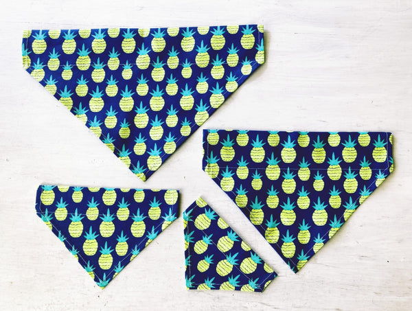 Hunde-Bandanas - Blue Pineapple