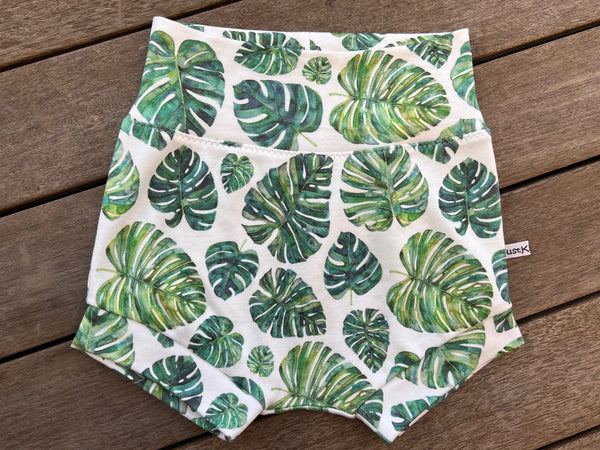 Velzy Shorts - MONSTERA