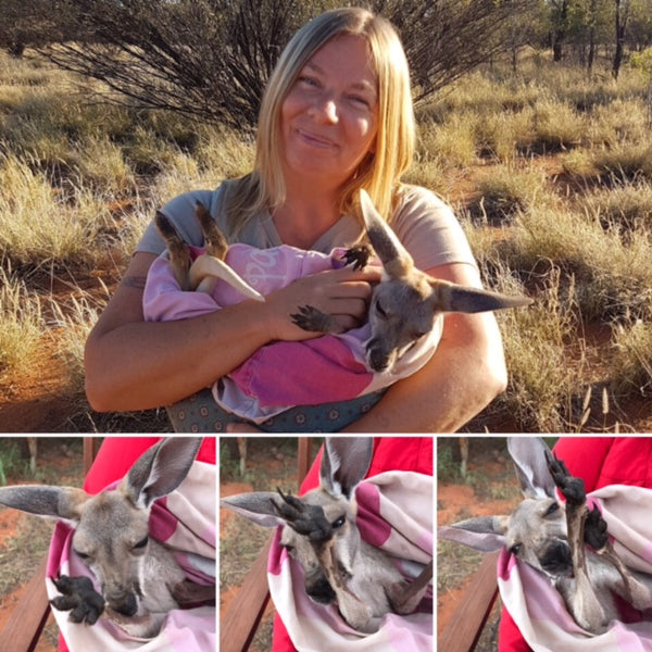 Kuscheltuechlein - KANGAROO (incl. einer $1 Spende)