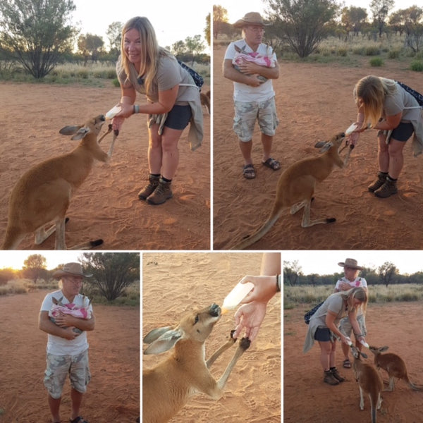 DeLuxe Lovey - KANGAROO