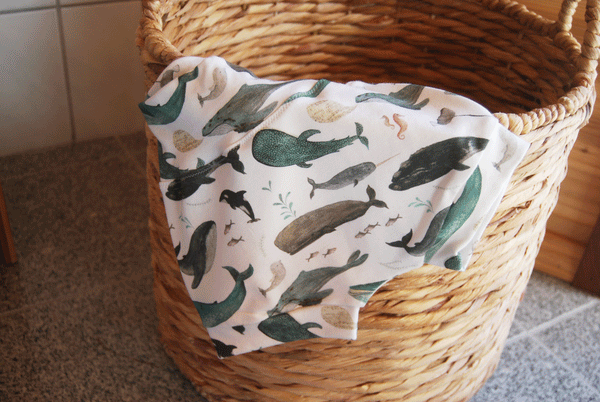 Velzy Shorts - WHALES