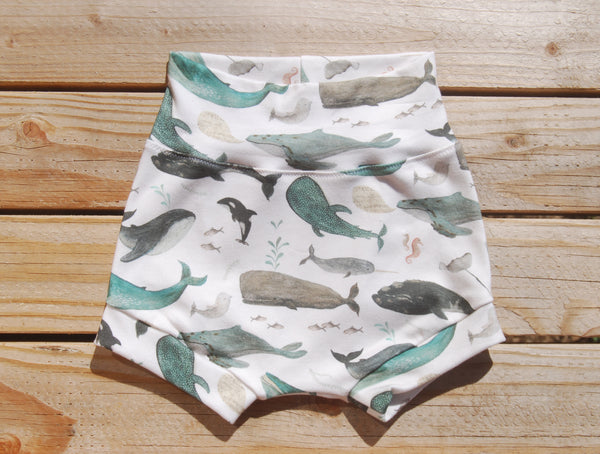 Velzy Shorts - WHALES