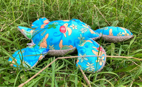 TURTLE - Blue Baby Turtle
