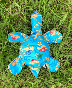 TURTLE - Blue Baby Turtle