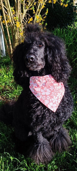 Hunde-Bandanas - Blue Pineapple