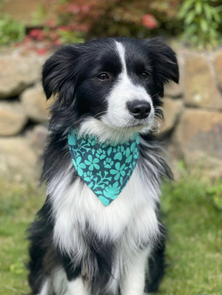 Hunde-Bandanas - Blue Pineapple